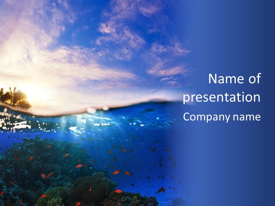 Tranquility Under Bubbles PowerPoint Template