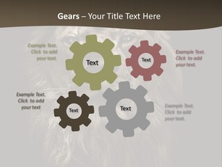 Proud Dominant Black And White Photos PowerPoint Template