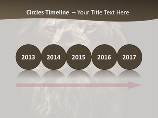 Proud Dominant Black And White Photos PowerPoint Template