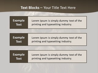 Proud Dominant Black And White Photos PowerPoint Template