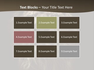 Proud Dominant Black And White Photos PowerPoint Template
