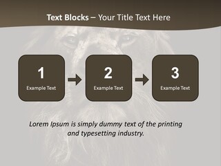 Proud Dominant Black And White Photos PowerPoint Template