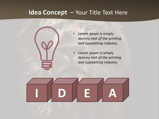 Proud Dominant Black And White Photos PowerPoint Template