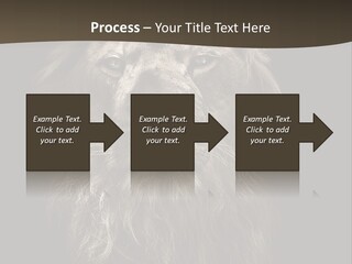 Proud Dominant Black And White Photos PowerPoint Template