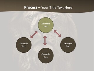 Proud Dominant Black And White Photos PowerPoint Template