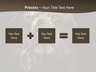 Proud Dominant Black And White Photos PowerPoint Template