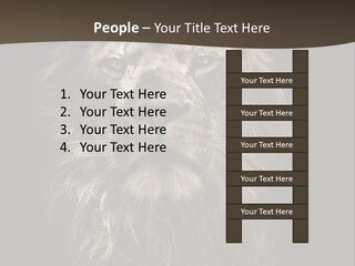 Proud Dominant Black And White Photos PowerPoint Template