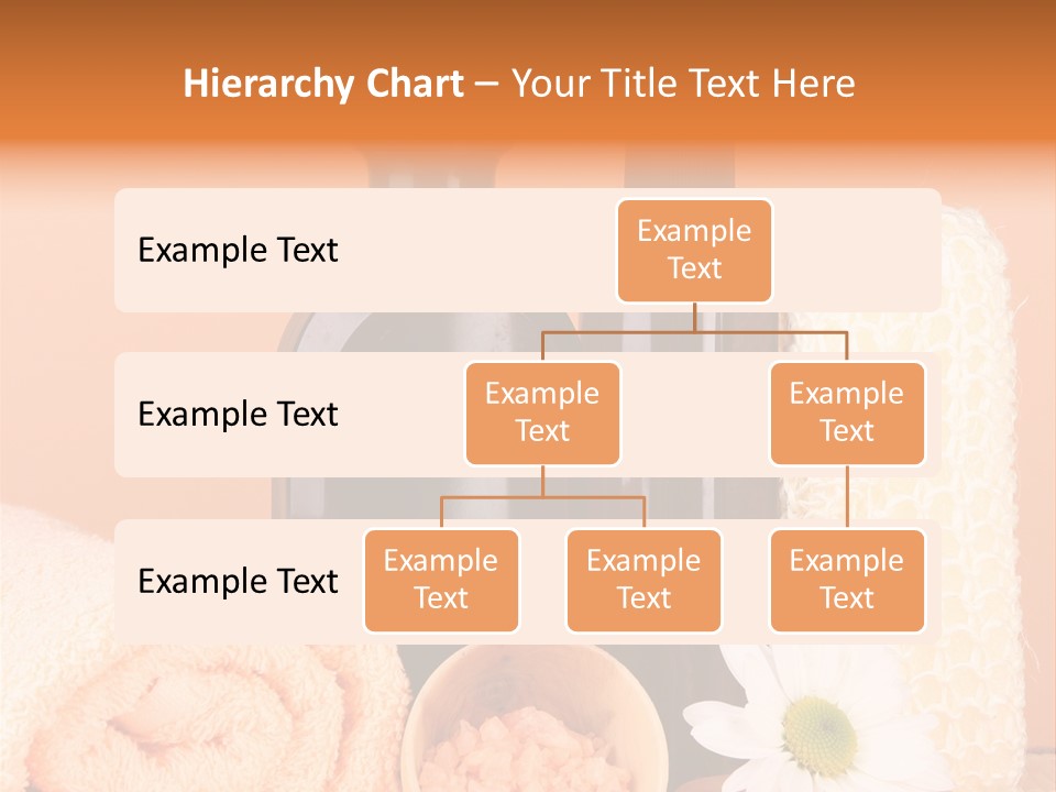 Shampoo Care Healthy PowerPoint Template