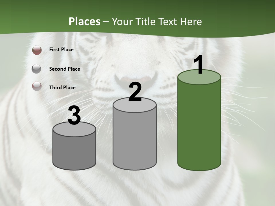 Predator Ear Life PowerPoint Template