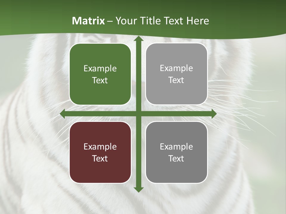 Predator Ear Life PowerPoint Template