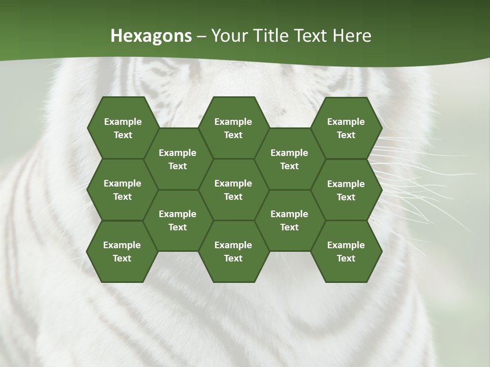 Predator Ear Life PowerPoint Template