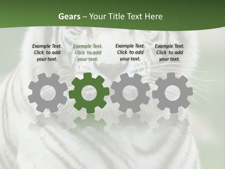 Predator Ear Life PowerPoint Template