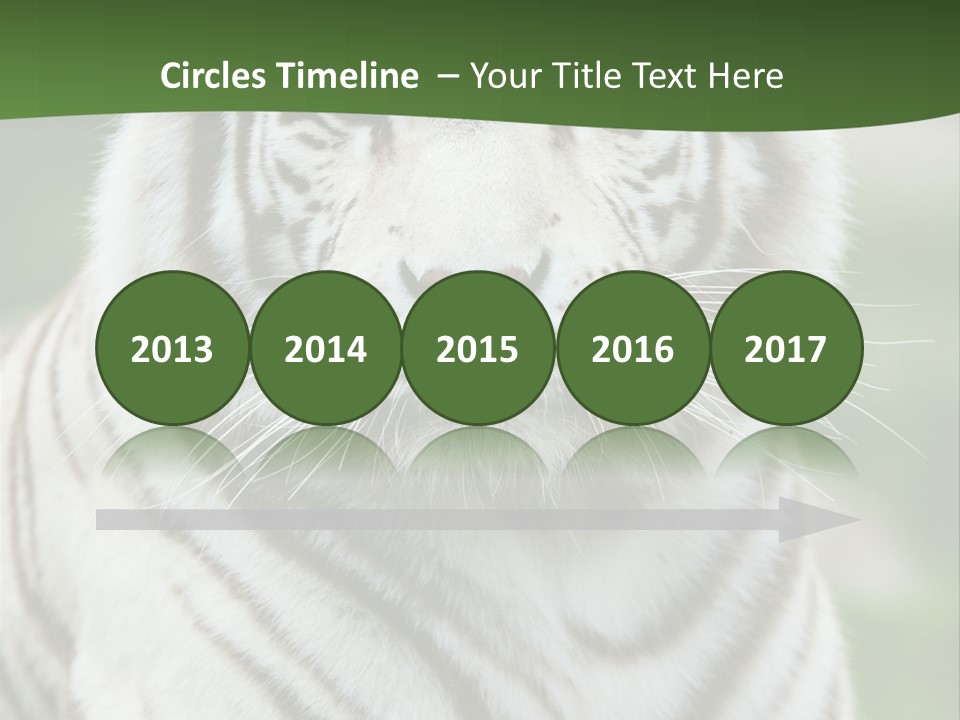 Predator Ear Life PowerPoint Template