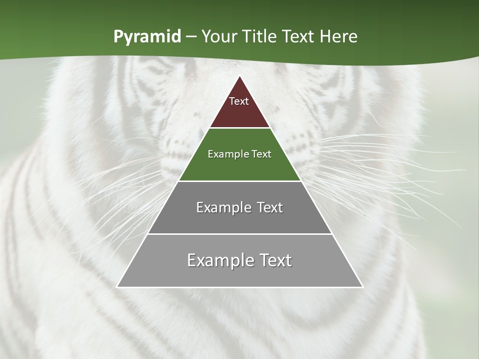 Predator Ear Life PowerPoint Template