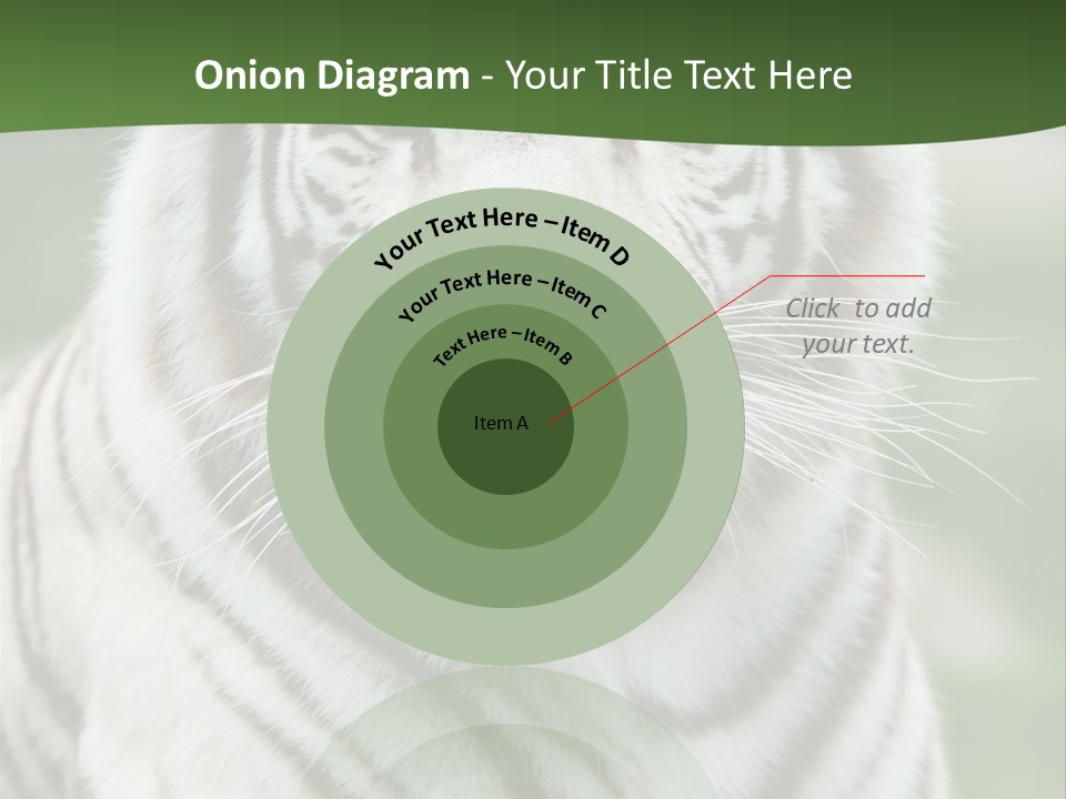 Predator Ear Life PowerPoint Template