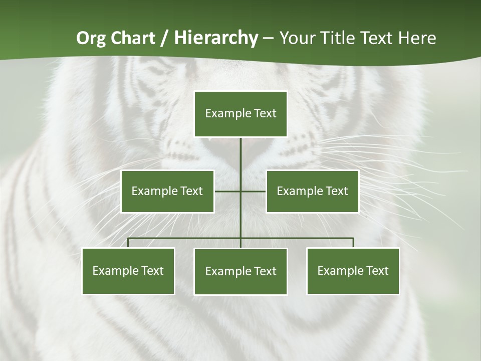 Predator Ear Life PowerPoint Template