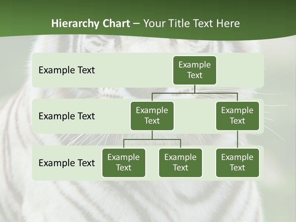 Predator Ear Life PowerPoint Template