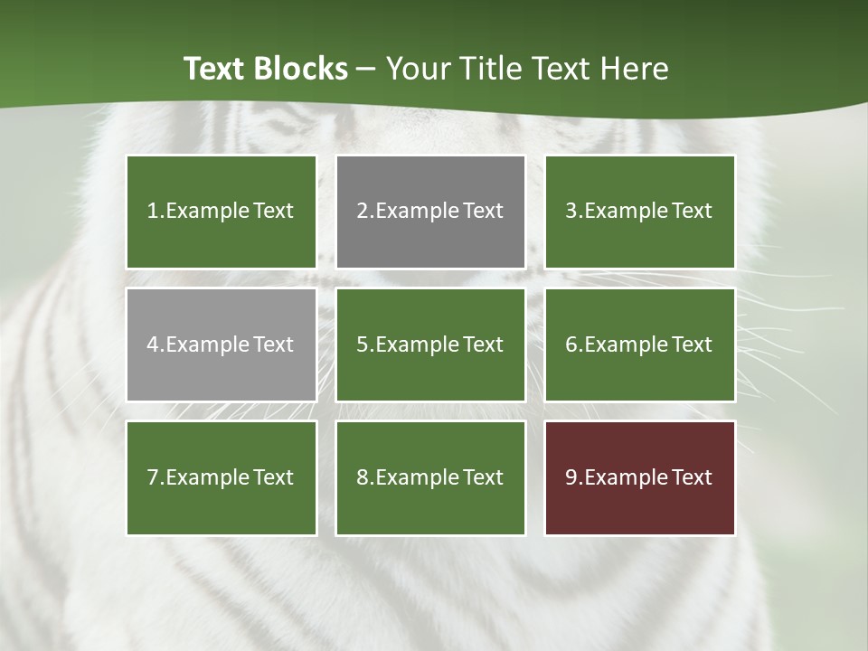 Predator Ear Life PowerPoint Template