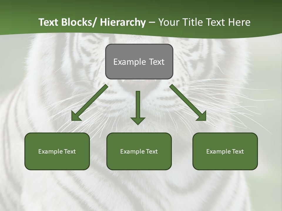 Predator Ear Life PowerPoint Template