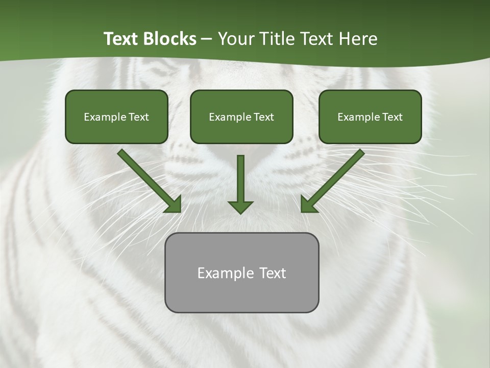 Predator Ear Life PowerPoint Template