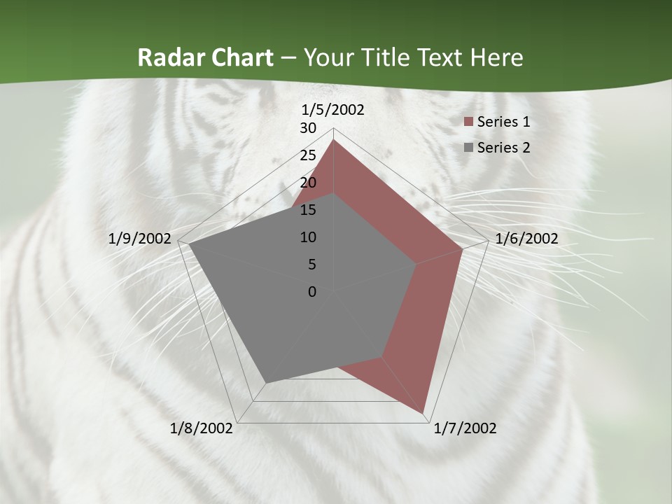 Predator Ear Life PowerPoint Template