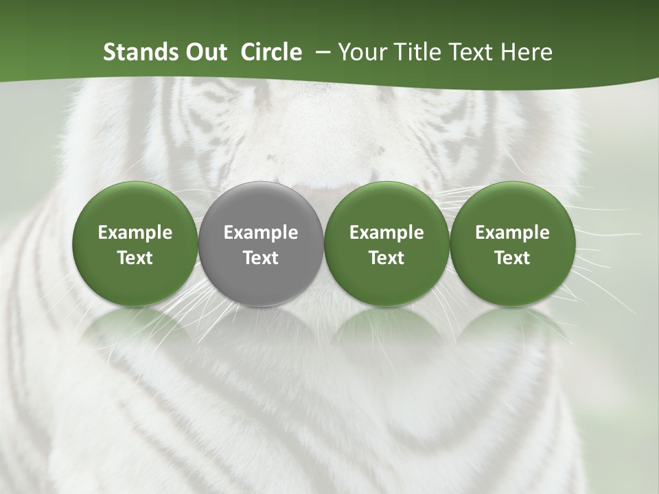 Predator Ear Life PowerPoint Template