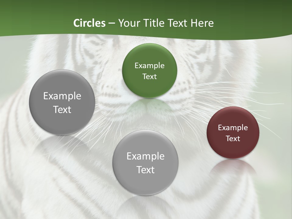 Predator Ear Life PowerPoint Template