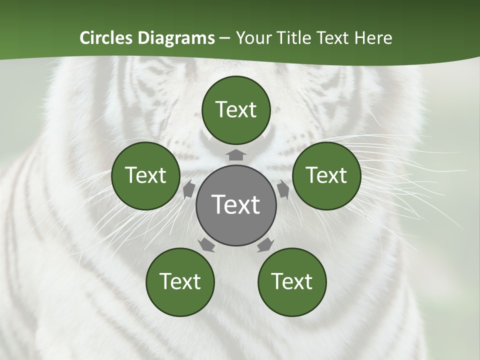 Predator Ear Life PowerPoint Template