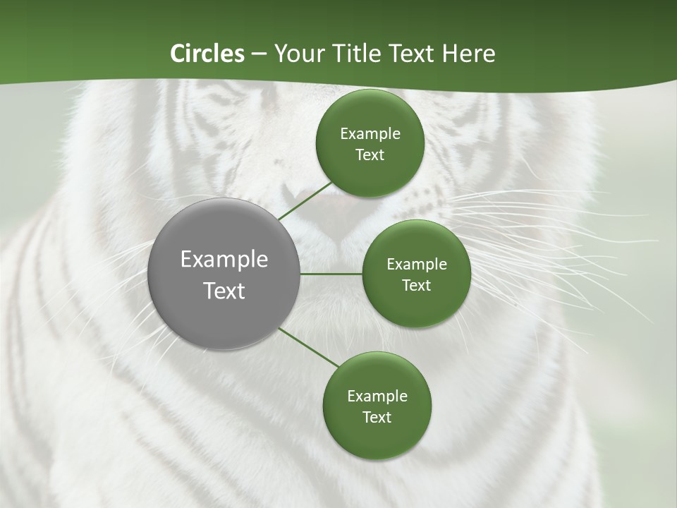 Predator Ear Life PowerPoint Template