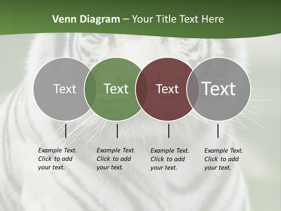 Predator Ear Life PowerPoint Template
