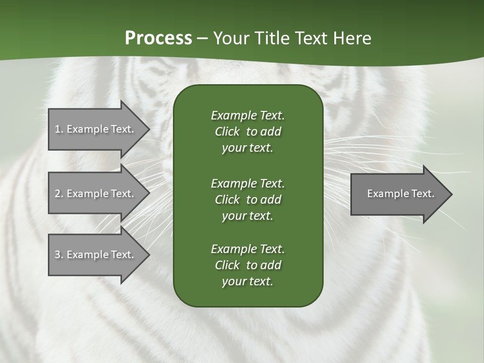 Predator Ear Life PowerPoint Template