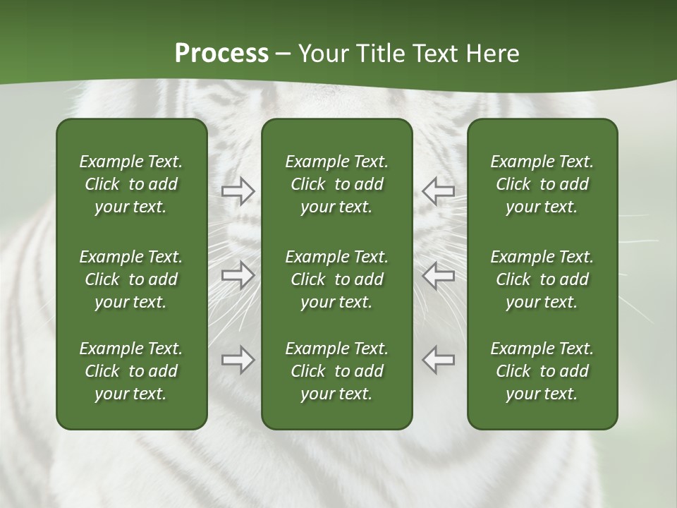 Predator Ear Life PowerPoint Template