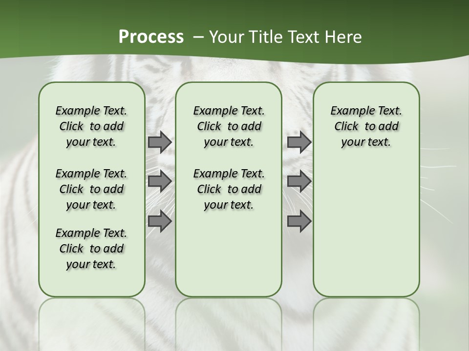 Predator Ear Life PowerPoint Template