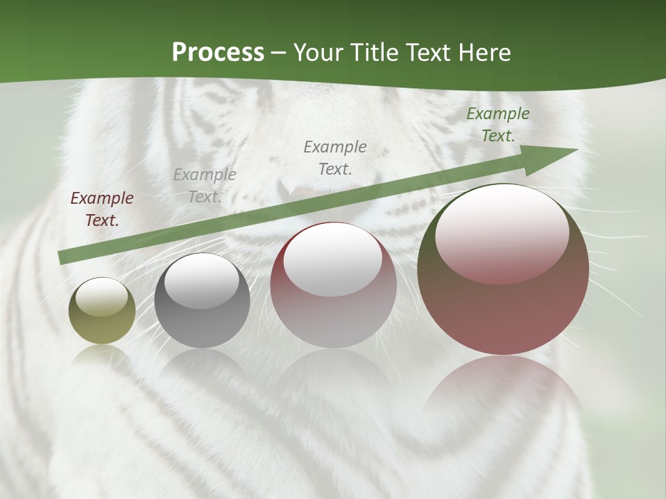 Predator Ear Life PowerPoint Template