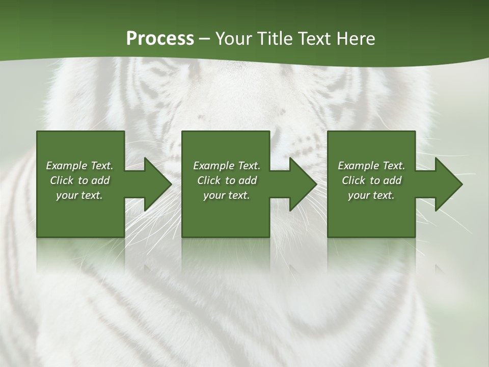 Predator Ear Life PowerPoint Template