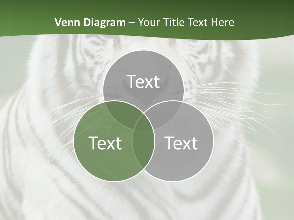 Predator Ear Life PowerPoint Template