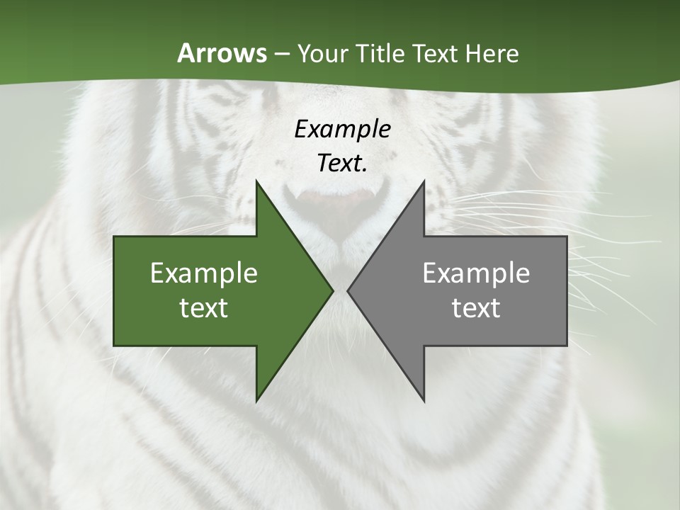 Predator Ear Life PowerPoint Template