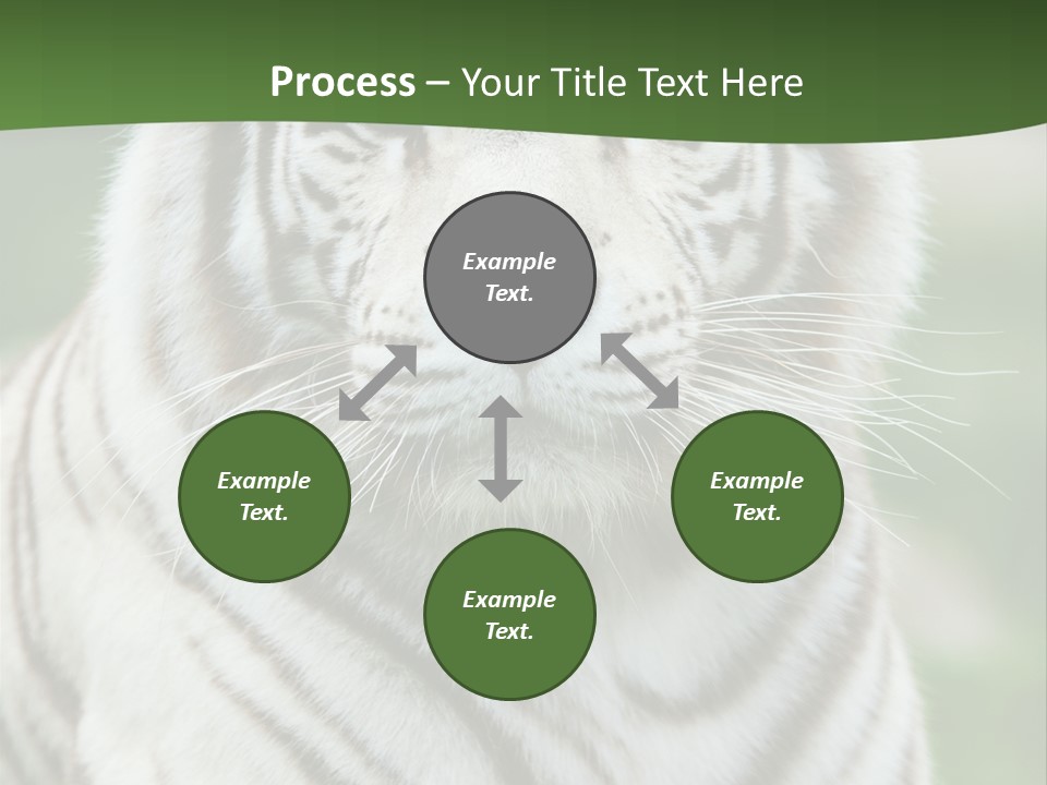 Predator Ear Life PowerPoint Template