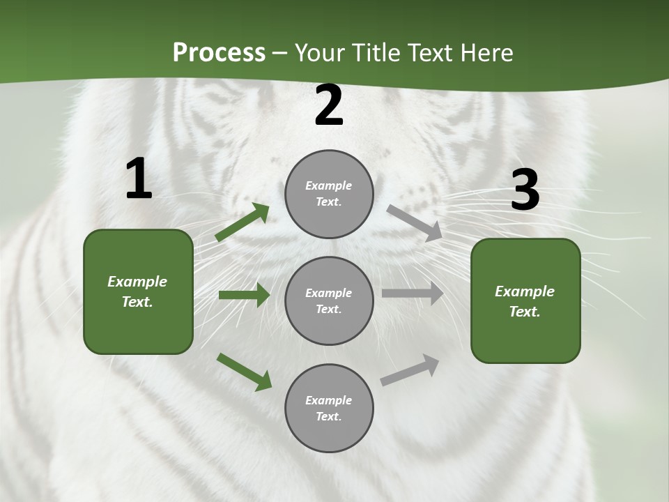 Predator Ear Life PowerPoint Template