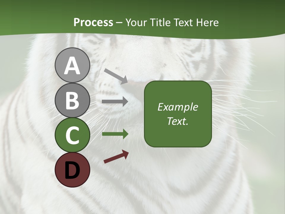 Predator Ear Life PowerPoint Template