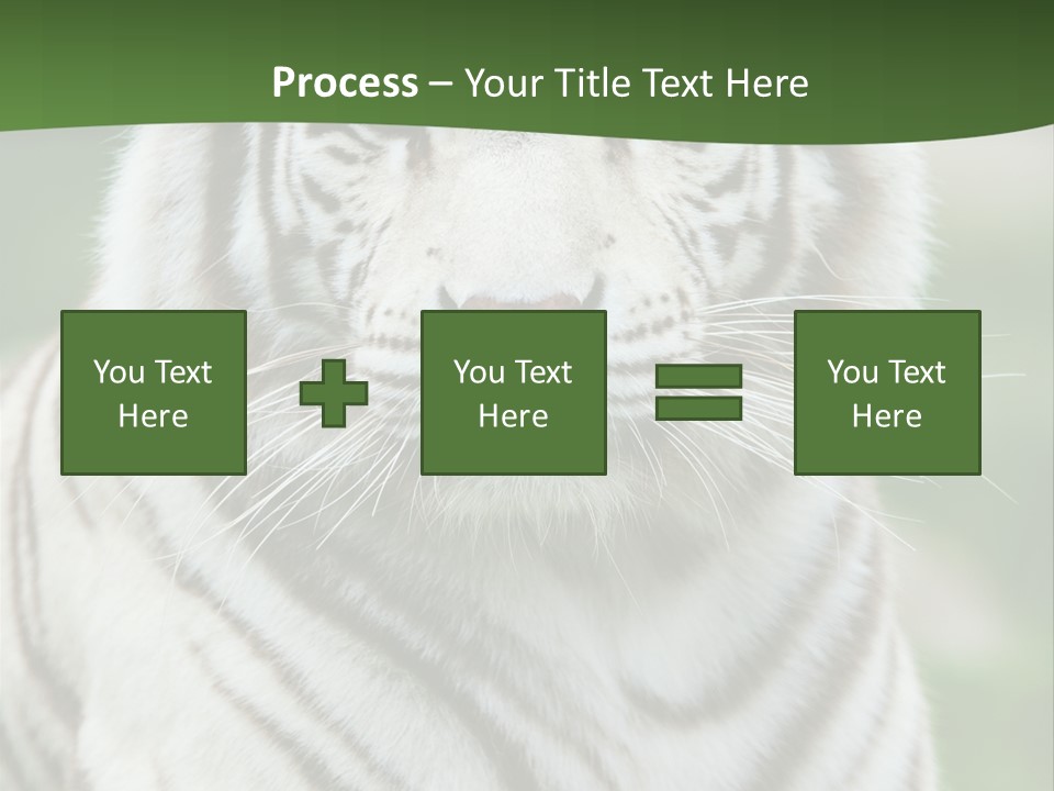 Predator Ear Life PowerPoint Template