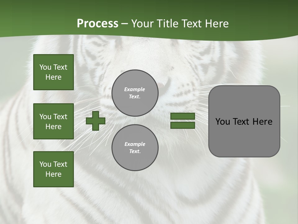 Predator Ear Life PowerPoint Template