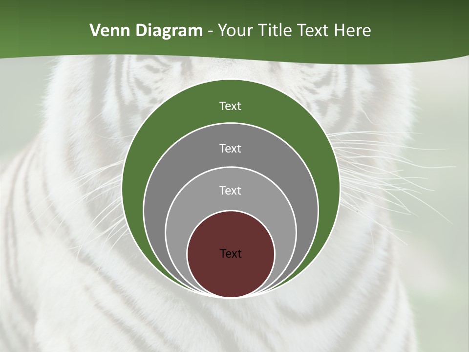 Predator Ear Life PowerPoint Template