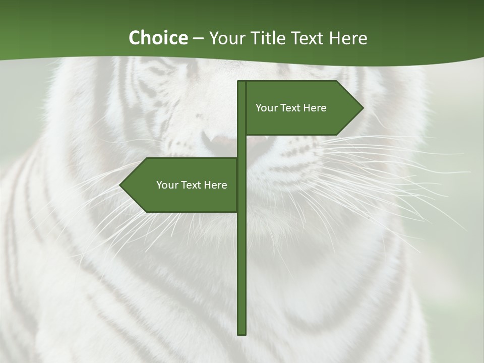 Predator Ear Life PowerPoint Template