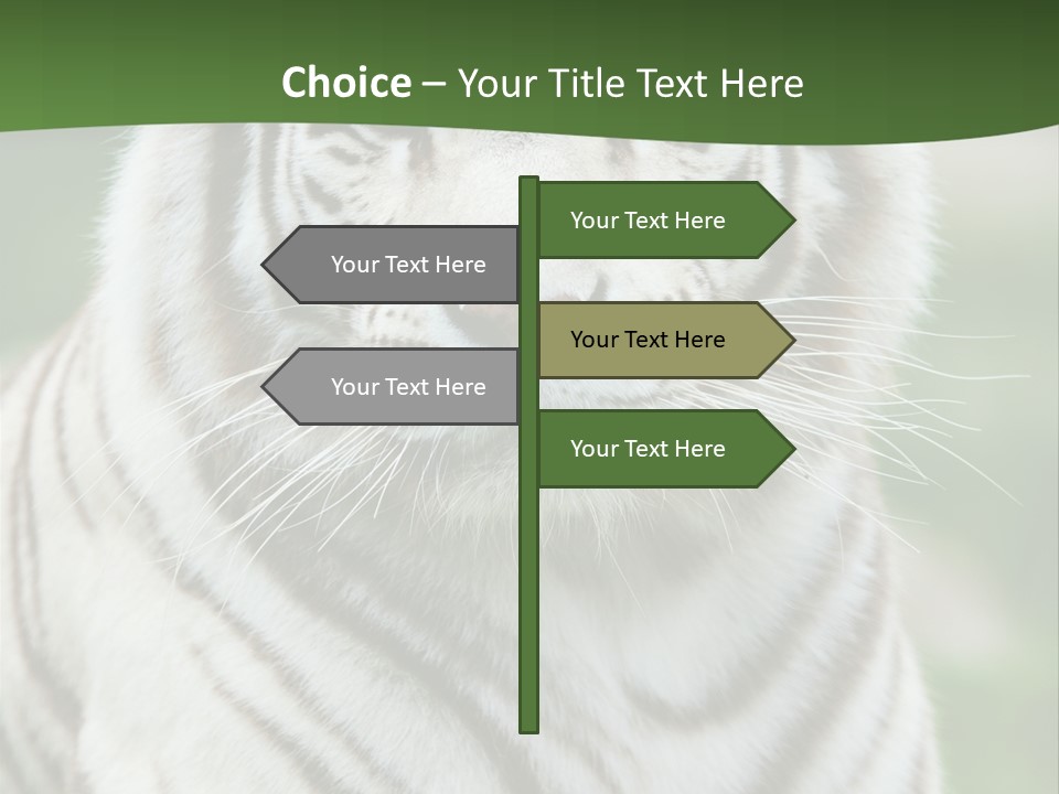 Predator Ear Life PowerPoint Template