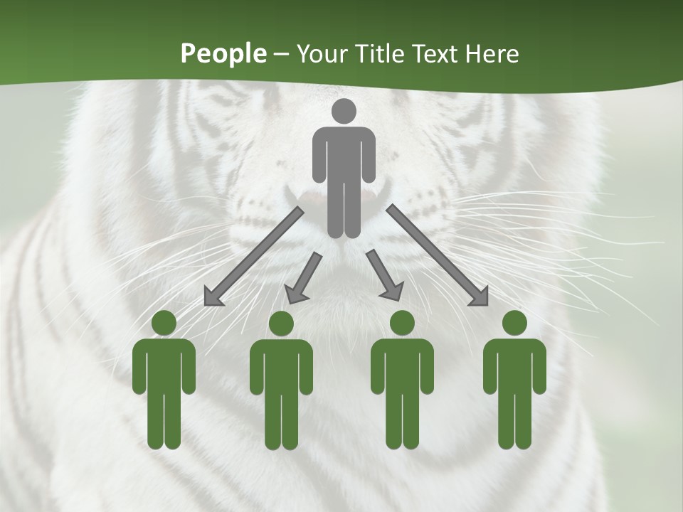 Predator Ear Life PowerPoint Template