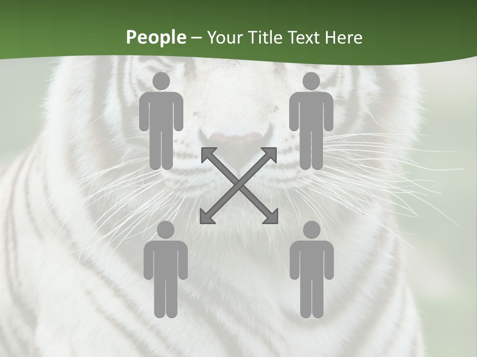 Predator Ear Life PowerPoint Template