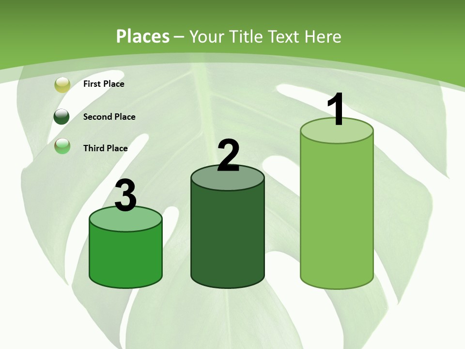 Spring Garden Nobody PowerPoint Template