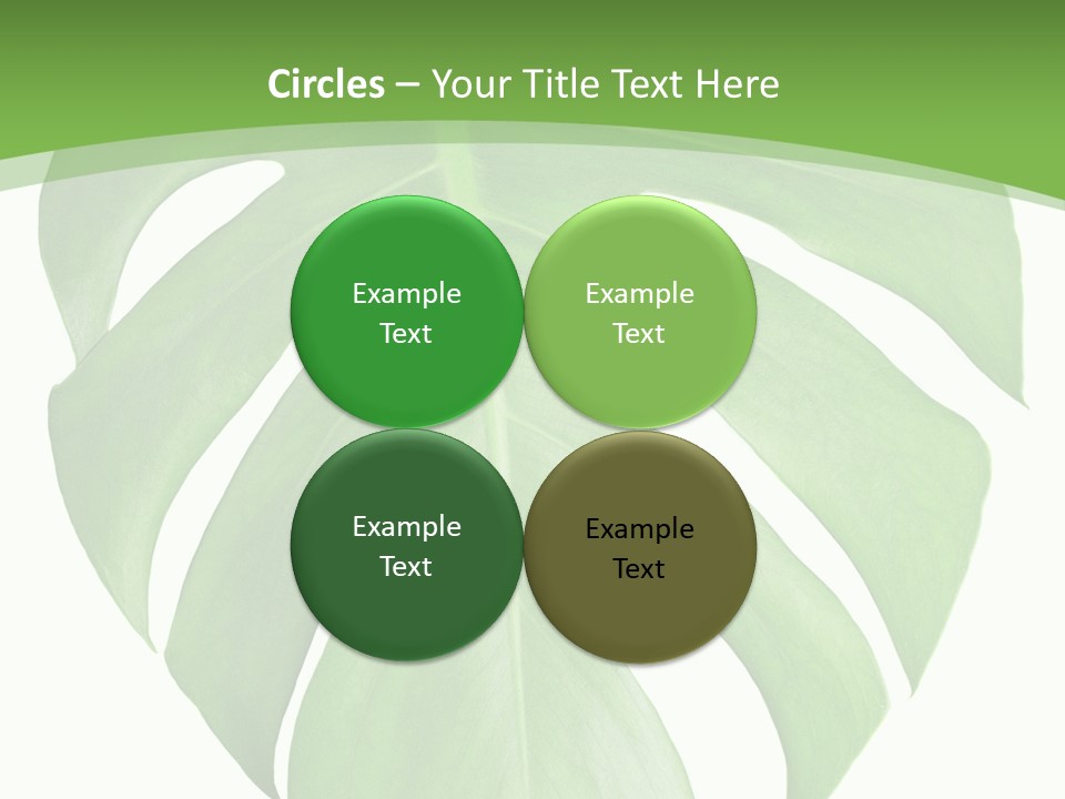 Spring Garden Nobody PowerPoint Template