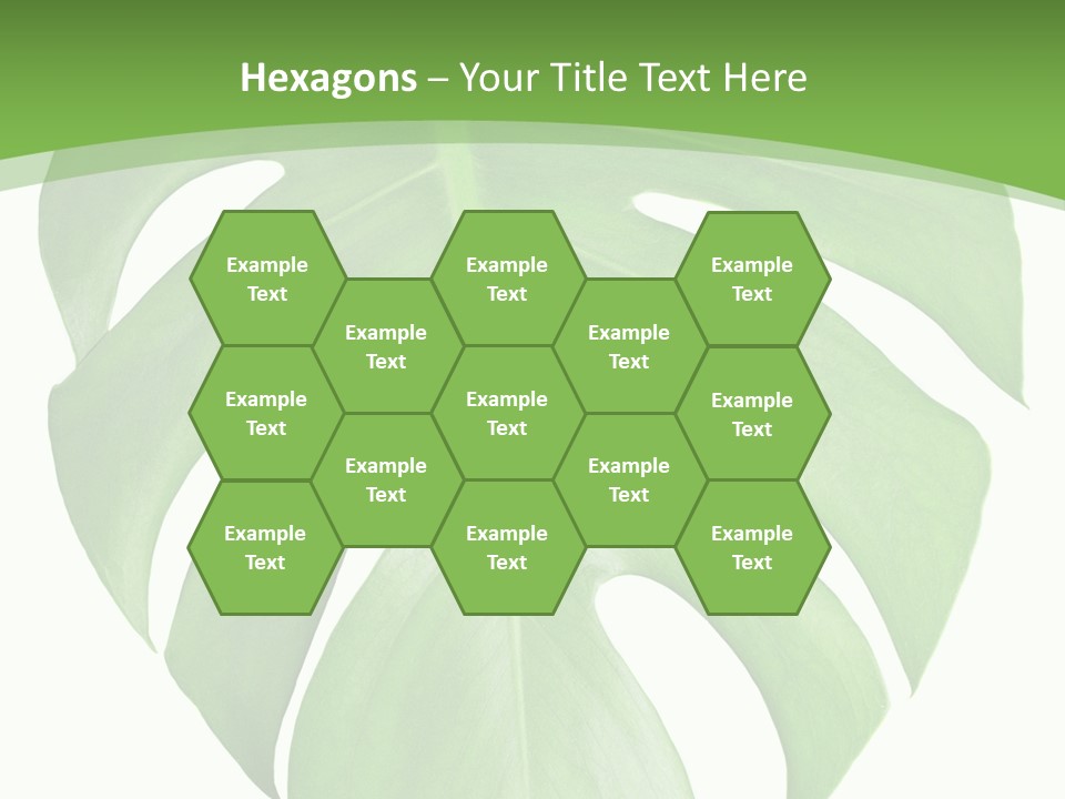 Spring Garden Nobody PowerPoint Template